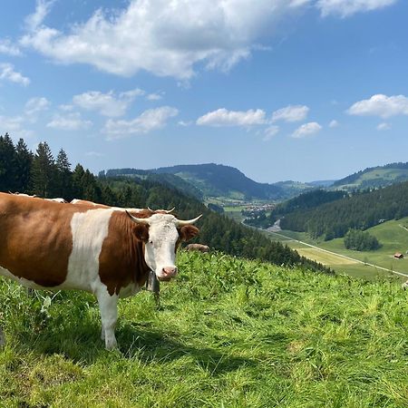 Weitnaustyle - Renoviert, Modern, Allergikerfreundlich Екстер'єр фото
